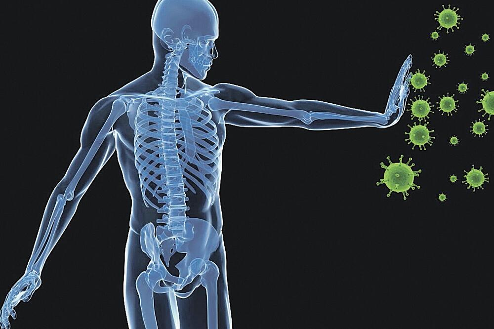 Virusologija (Novina), Foto: Bioval