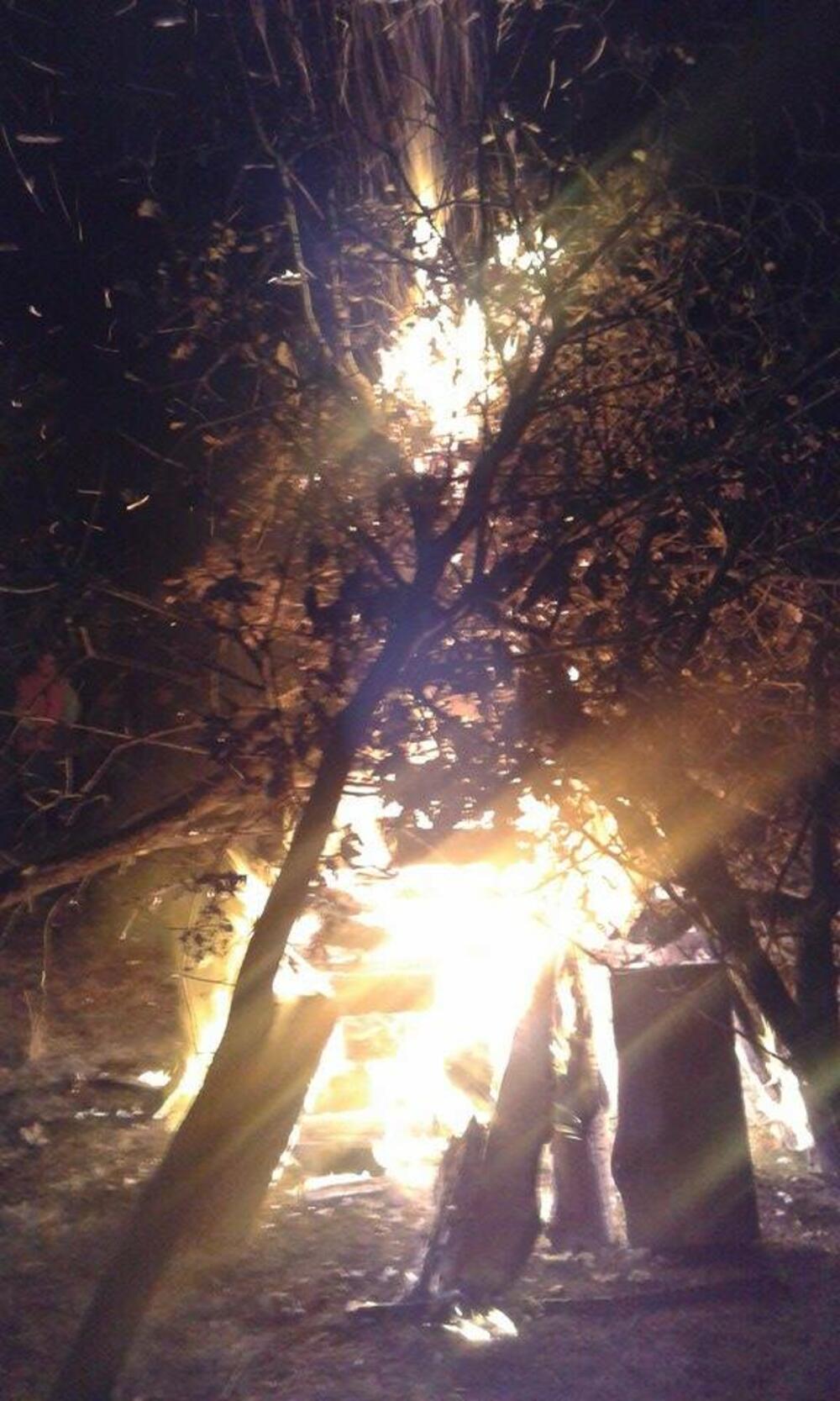 Danilovgrad badnjaci