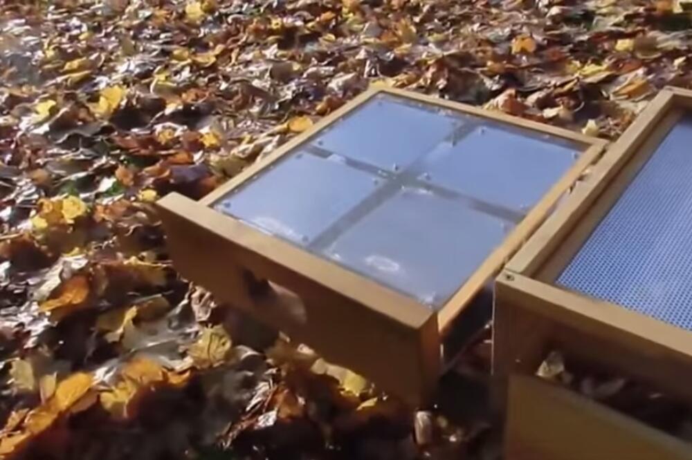 sauna za pčele, Foto: Screenshot (YouTube)