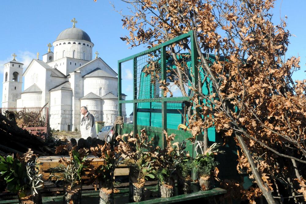 badnjak, Foto: Vesko Belojević