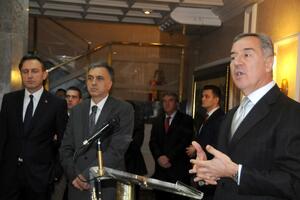 Znaju na šta je Milo alergičan, šta Filip voli da jede i šta Ranko...