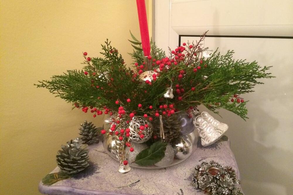 Biljka, Foto: Milan Vujović