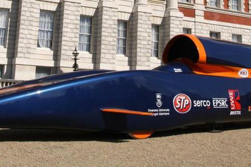 Bloodhound, Foto: Shutterstock