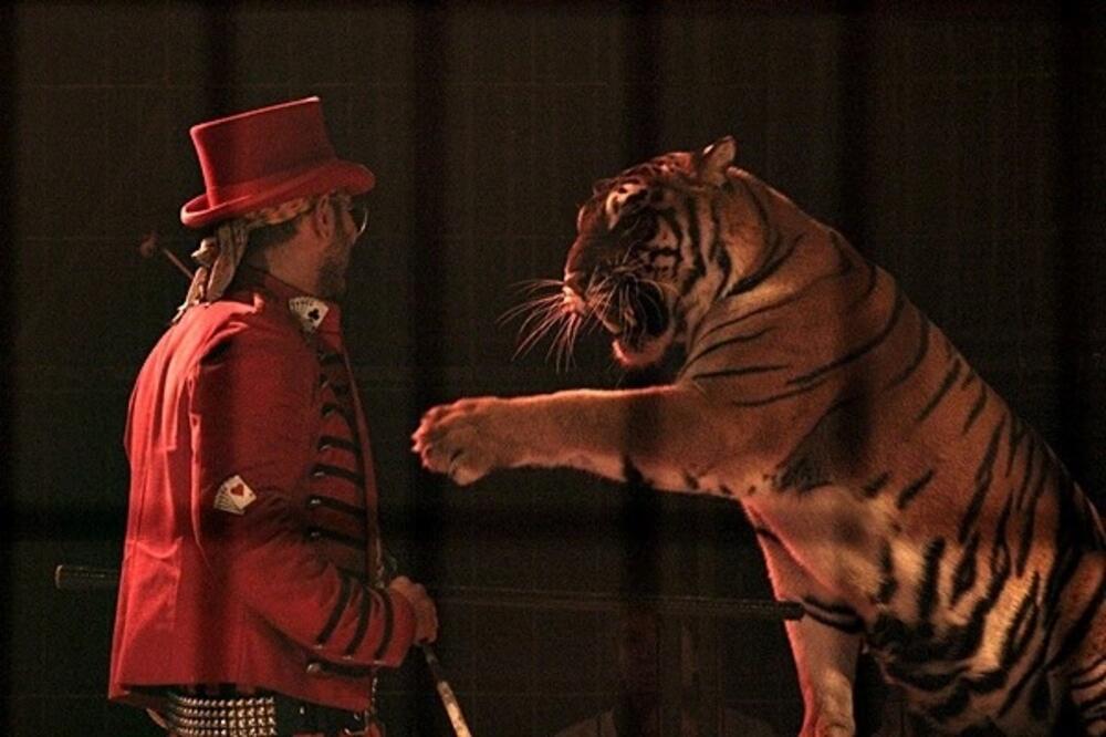 Zimski cirkus, Foto: Facebook.com