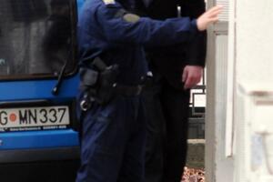 Šapuriću 12 godina za ubistvo Milutina Kankaraša