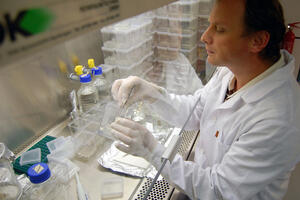 Libija: Ptičji grip odnio četiri života