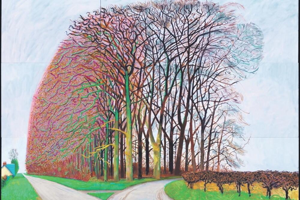 Slika Dejvida Hoknija (Novina)