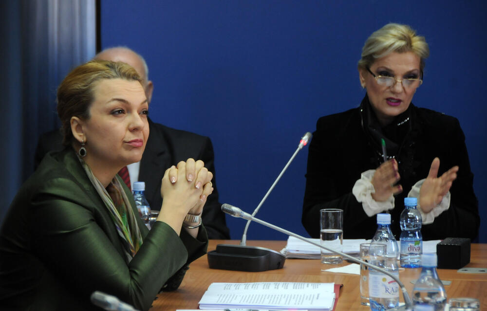 Sanja Vlahović, Odbor za prosvjetu
