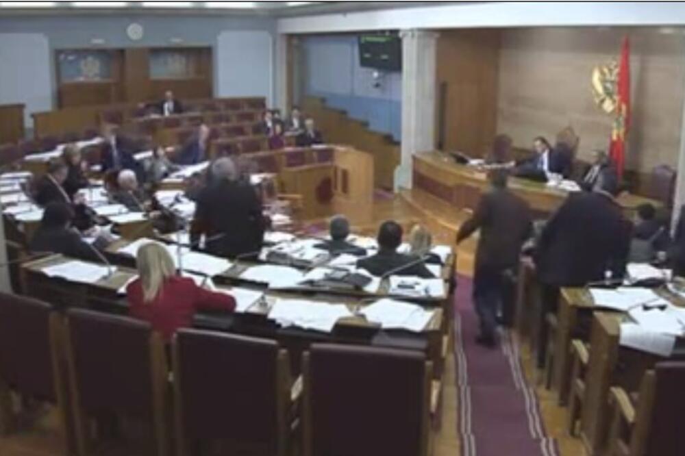 Tuča u Skupštini, Foto: Screenshot (YouTube)