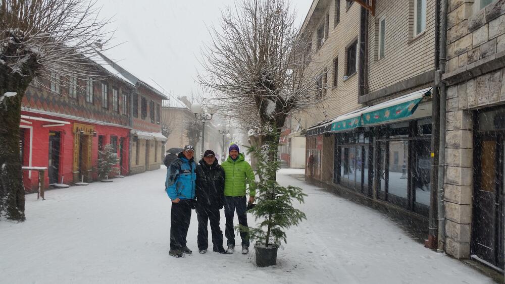 Kolašin protest lipa