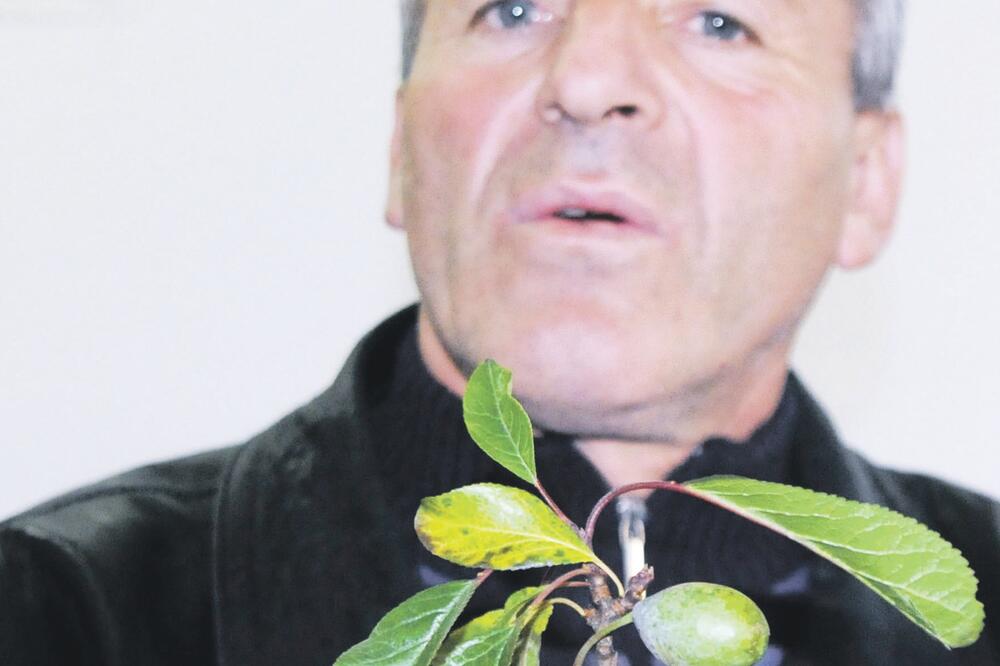 Milija Kovačević, Foto: Luka Zeković