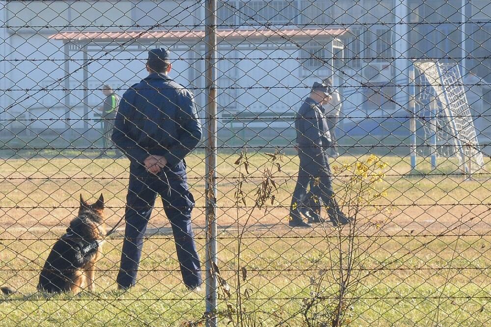 ZIKS, Foto: Zoran Đurić