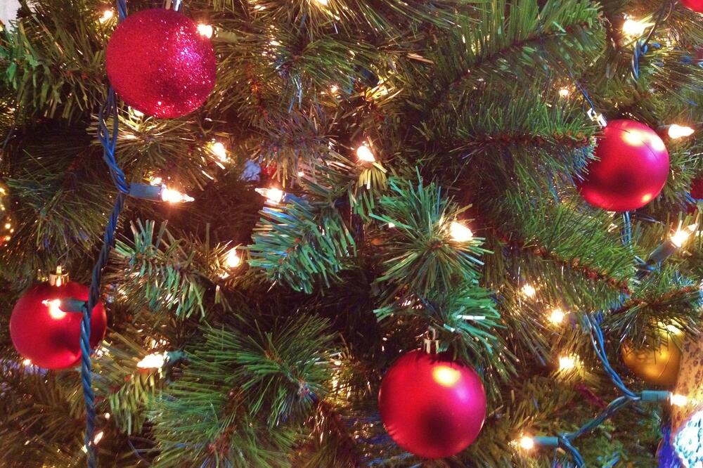 Božićna jelka, Foto: Shutterstock