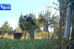 Rad u javnom interesu