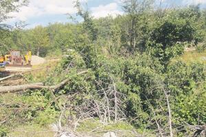 Bubanja: Šćekić "šuruje" sa DPS-om i Vladom