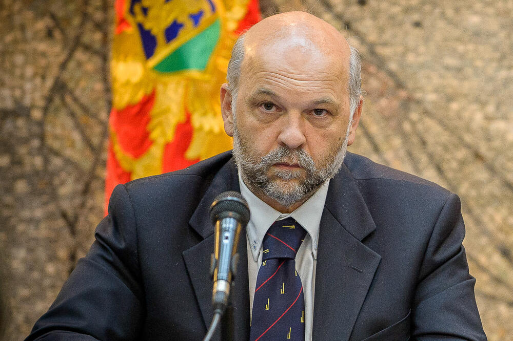 Vladimir Radulović, Foto: Duško Miljanić