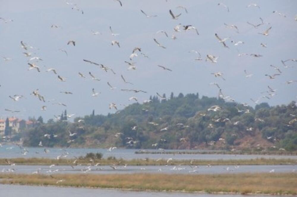 solila._1, Foto: ARHIVA VIJESTI