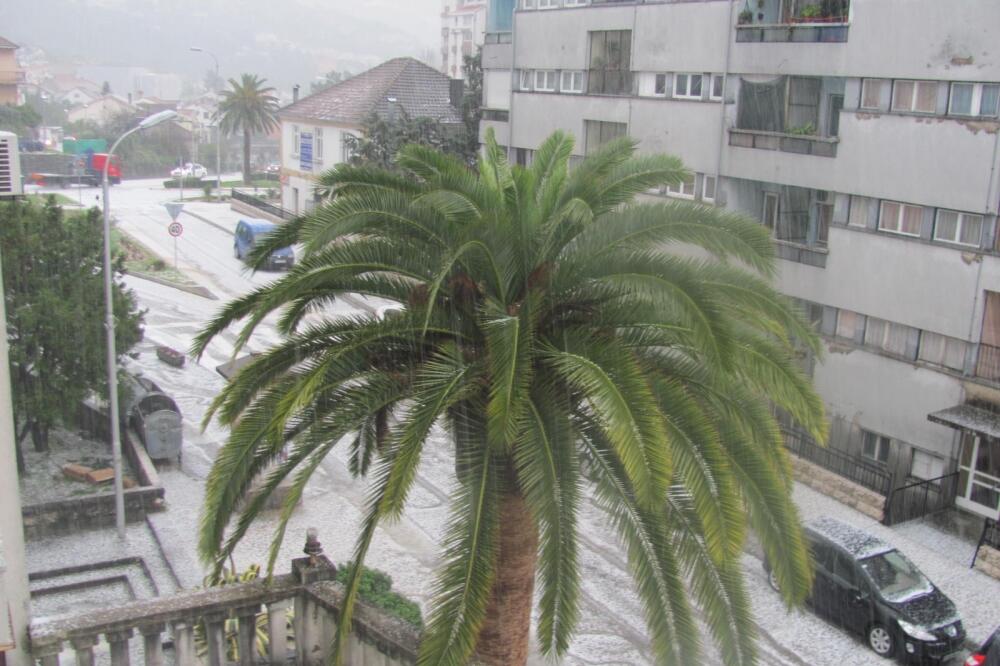 Tivat grad, Foto: Siniša Luković