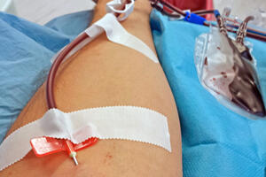 Tivat: Dodjela priznanja za doprinos davalaštvu krvi
