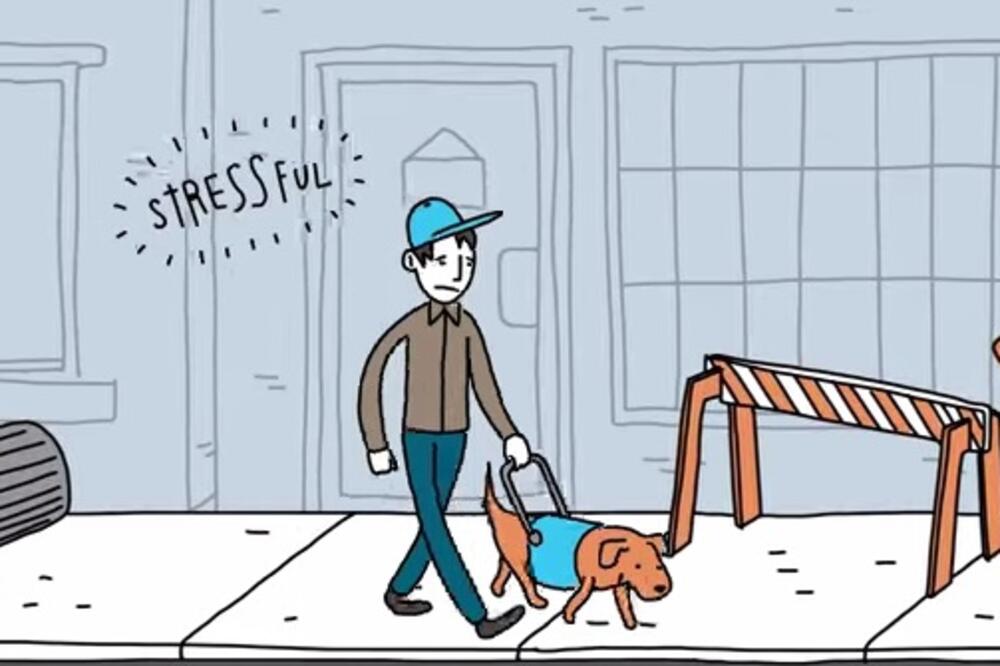 slijepi, pas, Foto: Screenshot (YouTube)