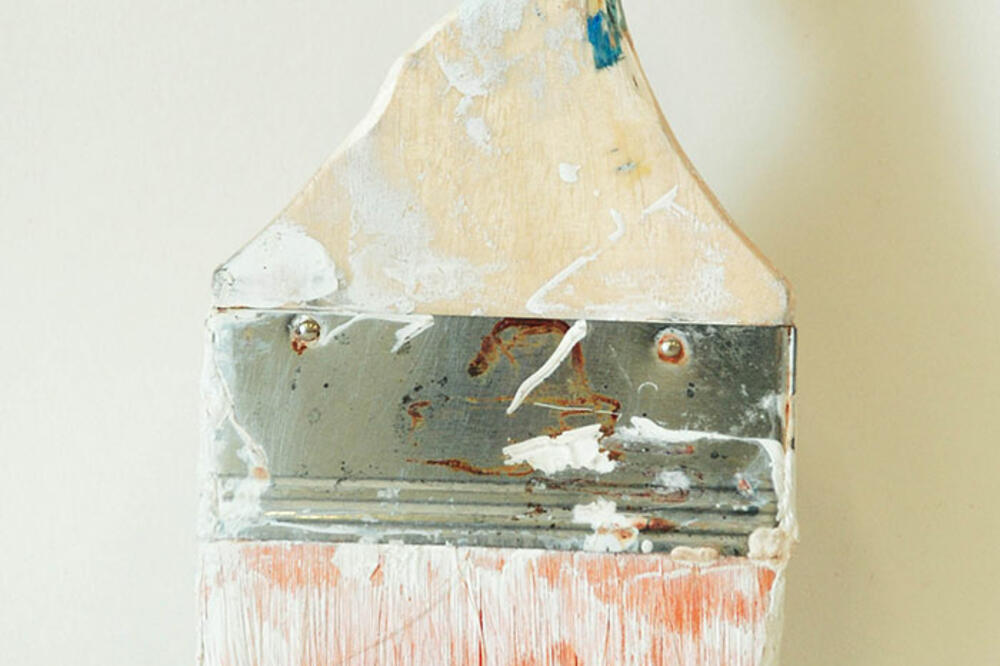 četke, dame, Foto: Boredpanda.com