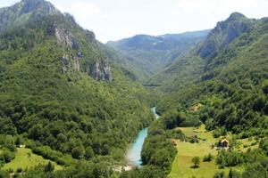 Tara - neispričana priča