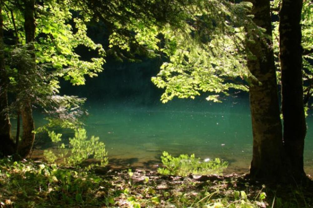 Biogradsko jezero, Foto: Damira Kalač