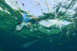 PET milijardi komada plastičnog smeća pluta svjetskim morima