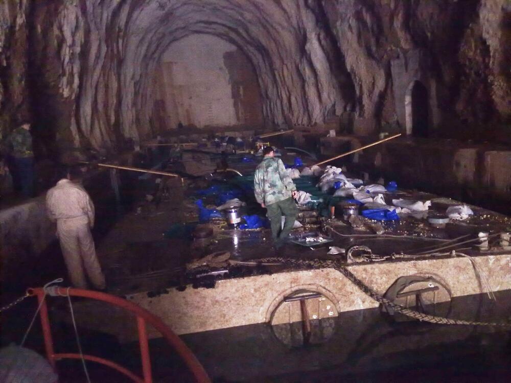 Rezanje topovnjače na Zmijicama