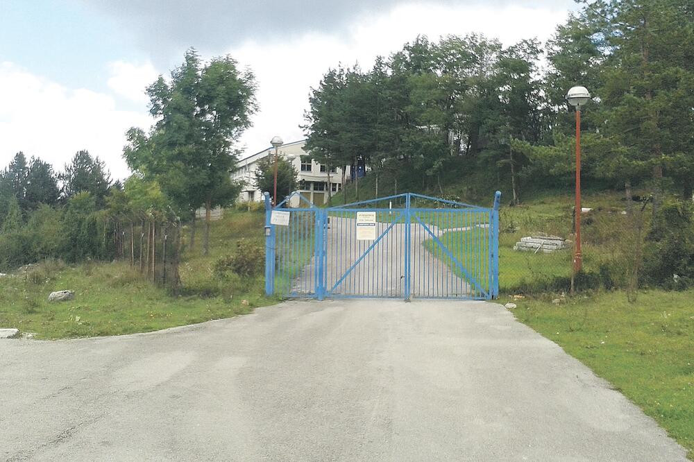 Plješa, Foto: Goran Malidžan