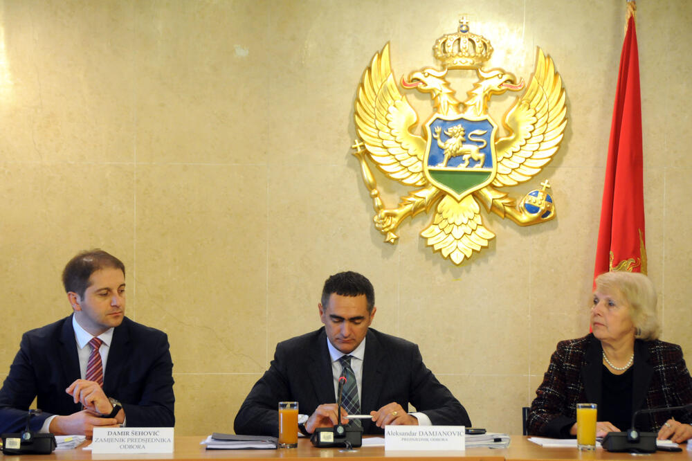 Odbor za ekonomiju, Foto: Boris Pejović