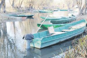 U štrajku dio radnika NP "Skadarsko jezero"