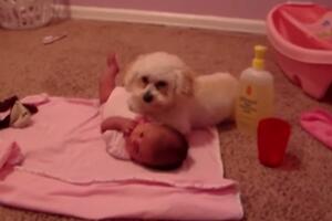 Oduševićete se: Pas koji čuva bebu od usisivača
