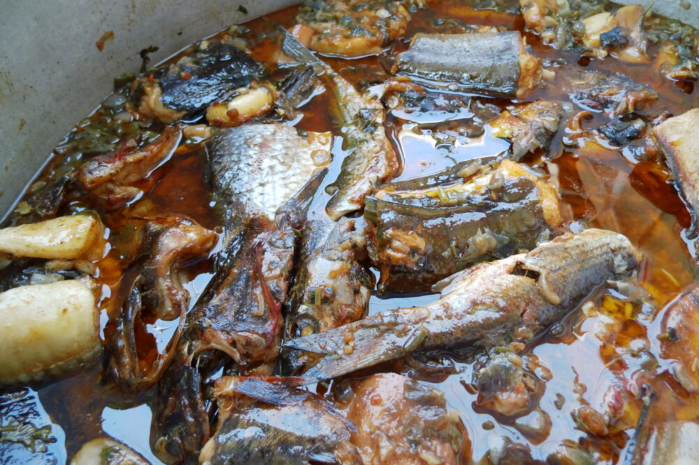 Mašo Čekić, Foto: Siniša Luković