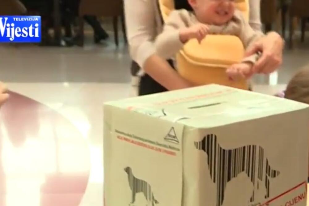 Pomoć, Azil za pse, Foto: Screenshot(TvVijesti)