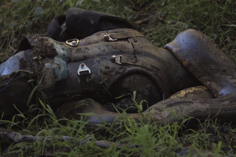 Pol Rosoli, Foto: Twitter.com