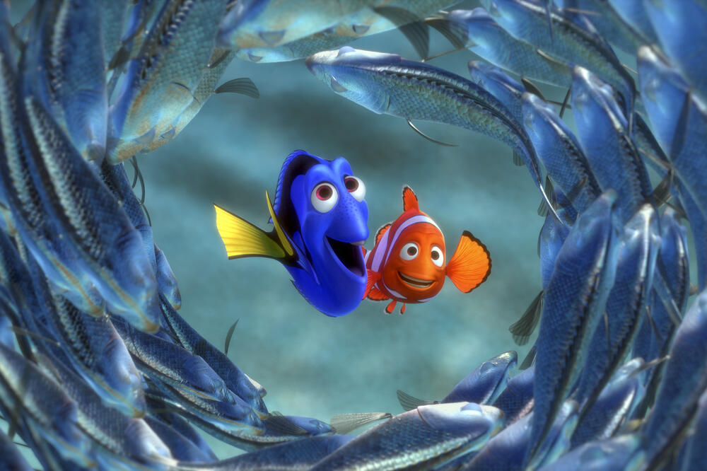 Potraga za Nemom, Foto: Beta/AP