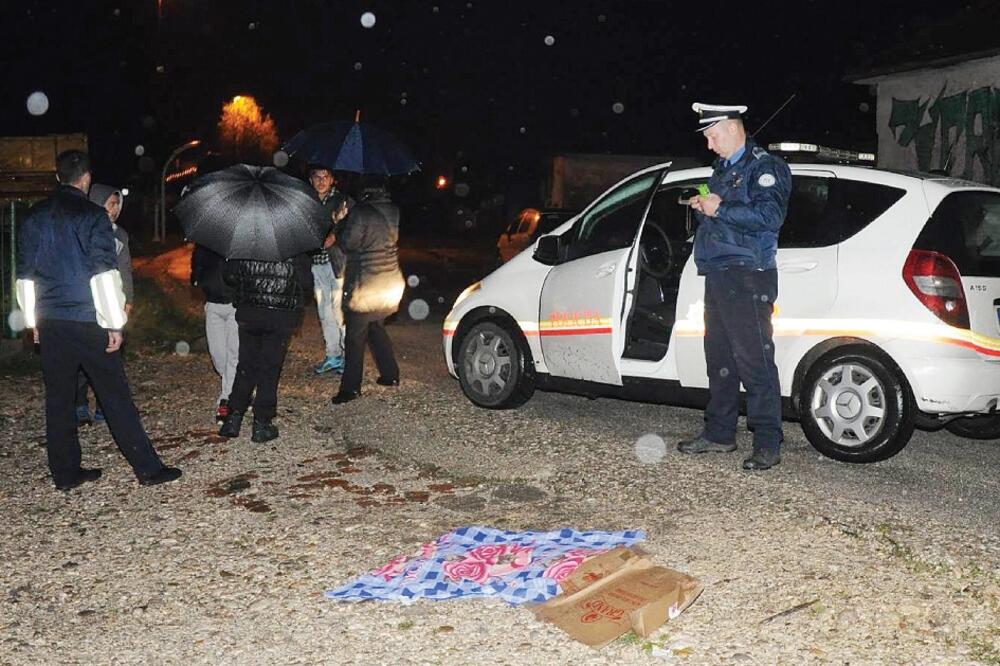 Zverinjak, tuča, Foto: Svetlana Mandić