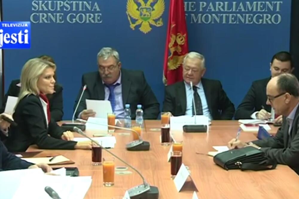 Odbor, finansiranje političkih partija, Foto: Screenshot (TV Vijesti)