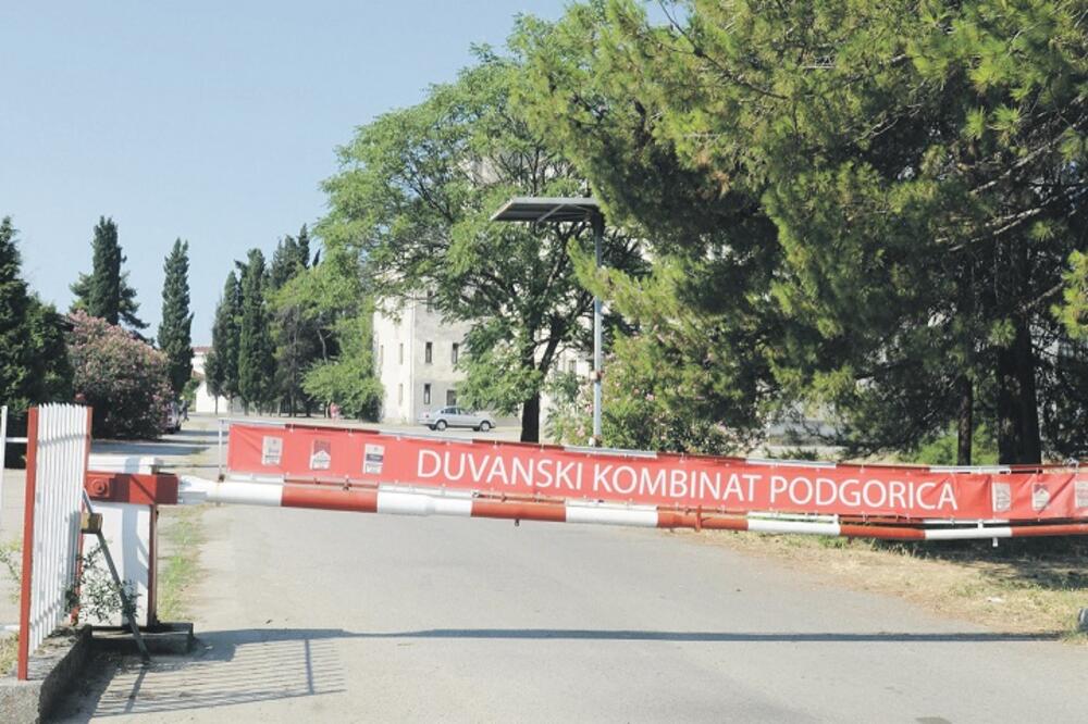 DKP, Duvanski kombinat, Foto: Savo Prelević
