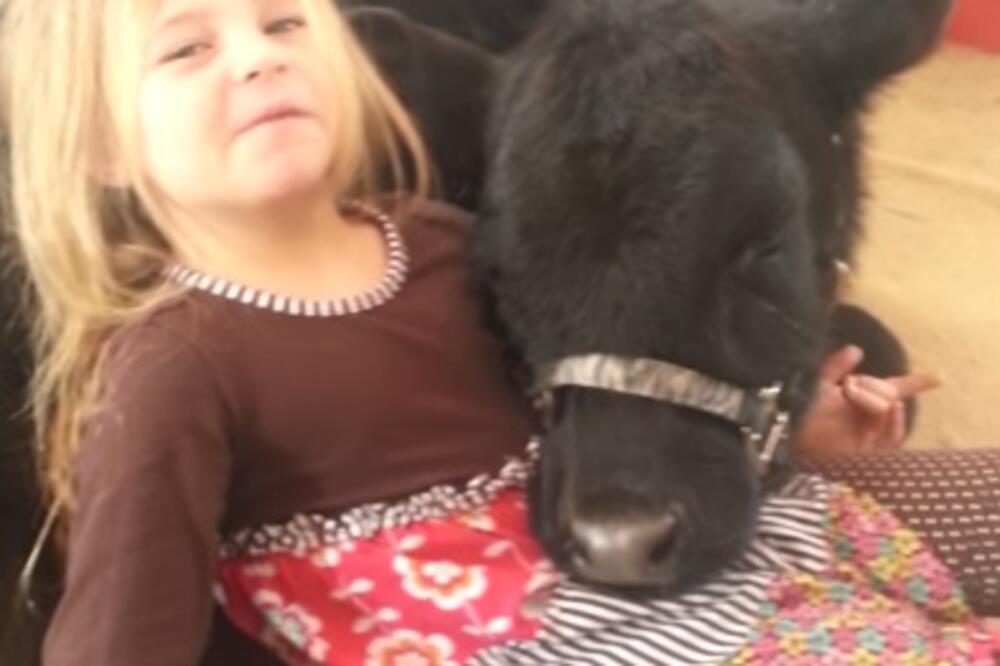 djevojčica i krava, Foto: Screenshot (YouTube)