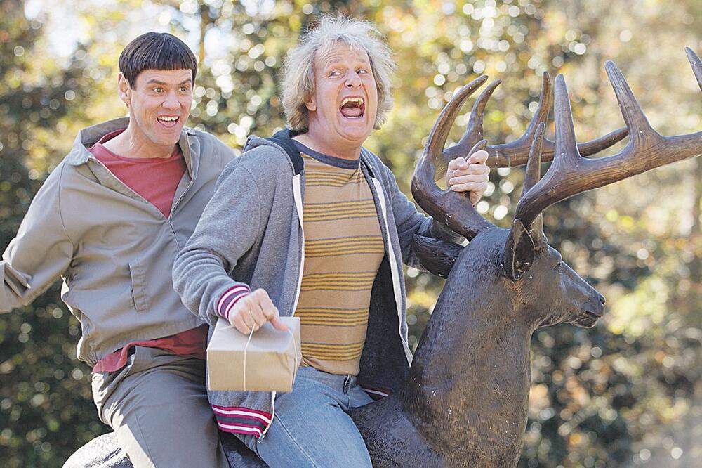 Gluplji i tuplji, Foto: Vijesti online