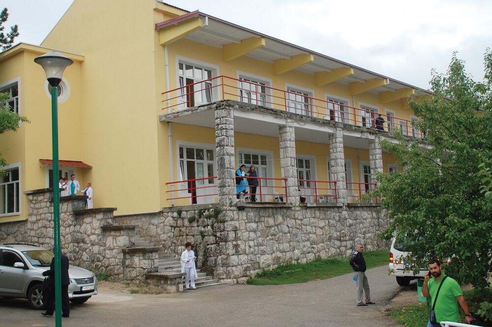 Brezovik, Foto: Svetlana Mandić