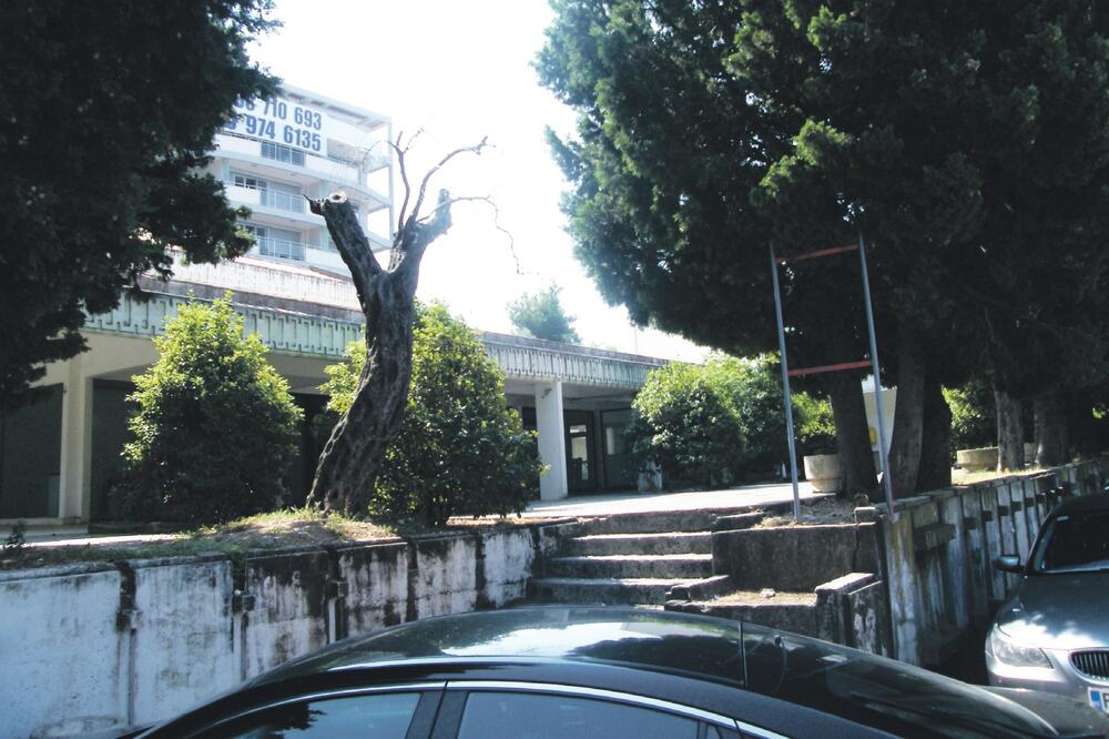 Pržno, Foto: Vuk Lajović