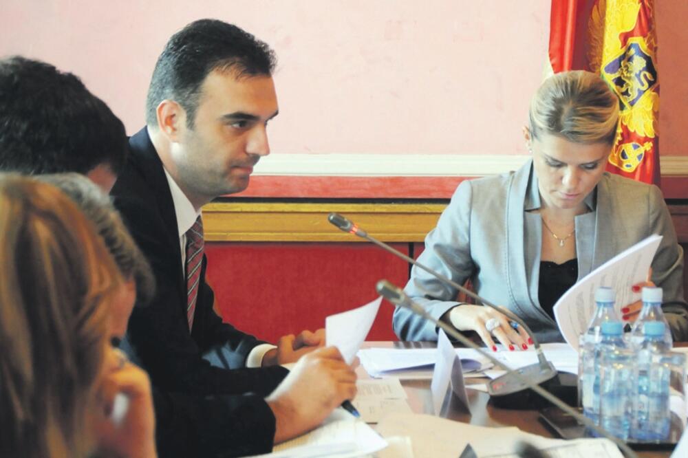 Radna grupa, Foto: Boris Pejović