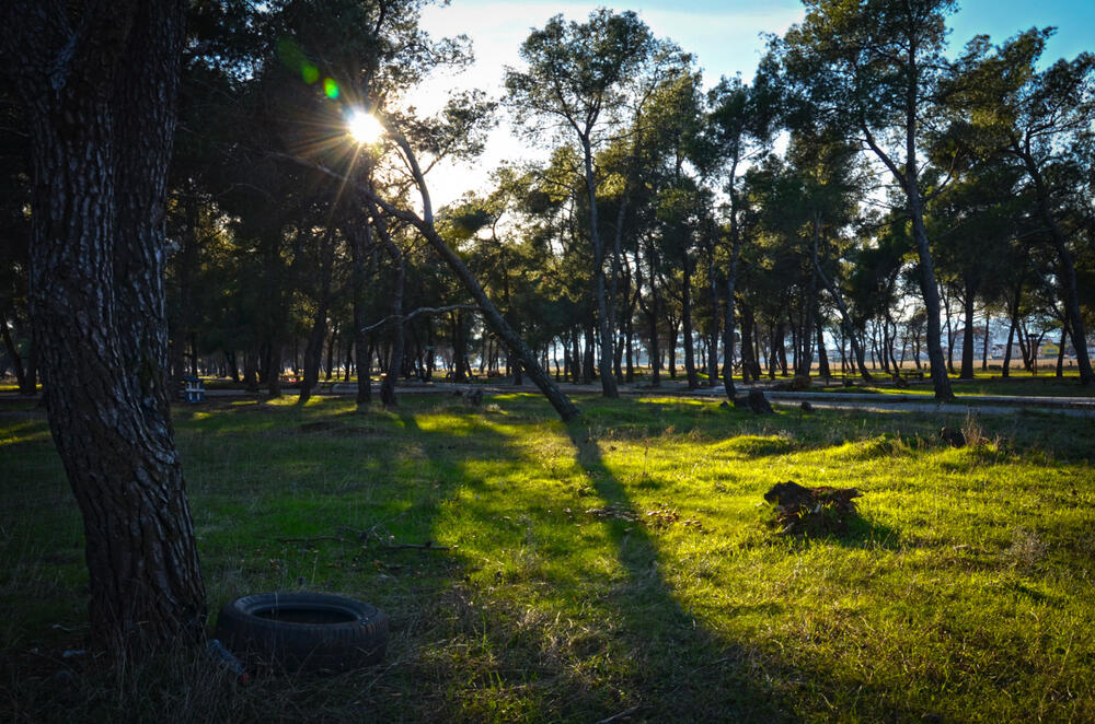 Trim staza i nove trim sprave na Ćemovskom polju