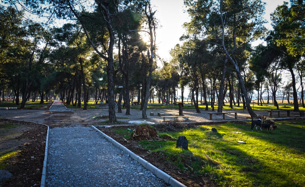 Trim staza i nove trim sprave na Ćemovskom polju
