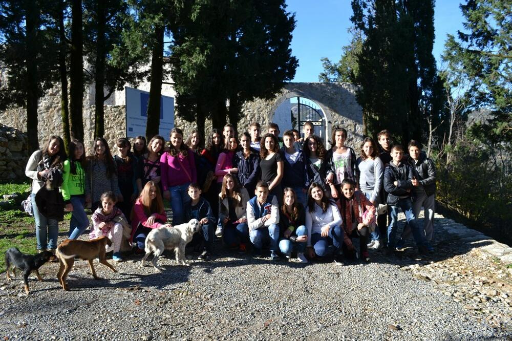 Mali rendžeri, Foto: NVO Green Home