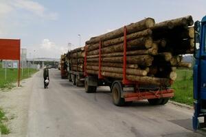 FAO: Crna Gora može da pretvori drvo u energiju koja ne zagađuje...