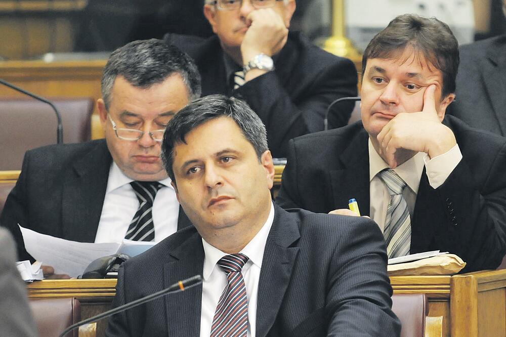 Nova srpska demokratija, Foto: Boris Pejović